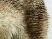 Ирина Новикова (KissMoon) | Кимры