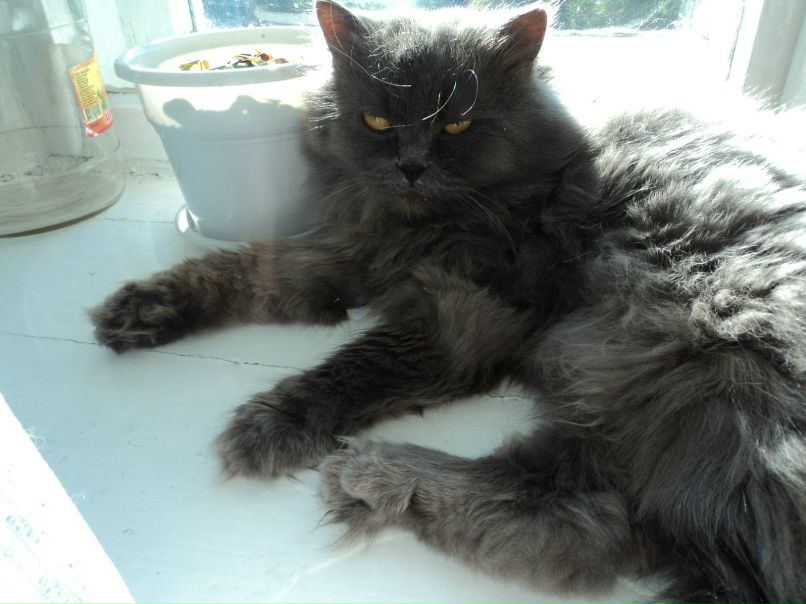 Тори Иванова | Красноярск