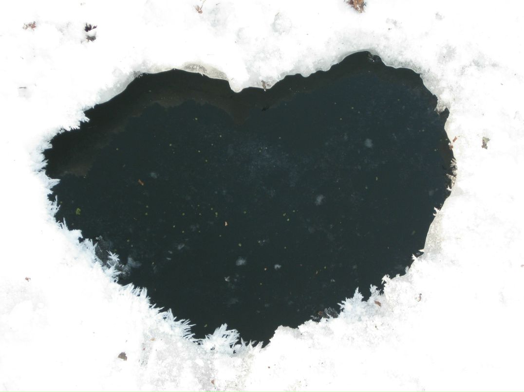 Ирина Блоцкая | Гатчина