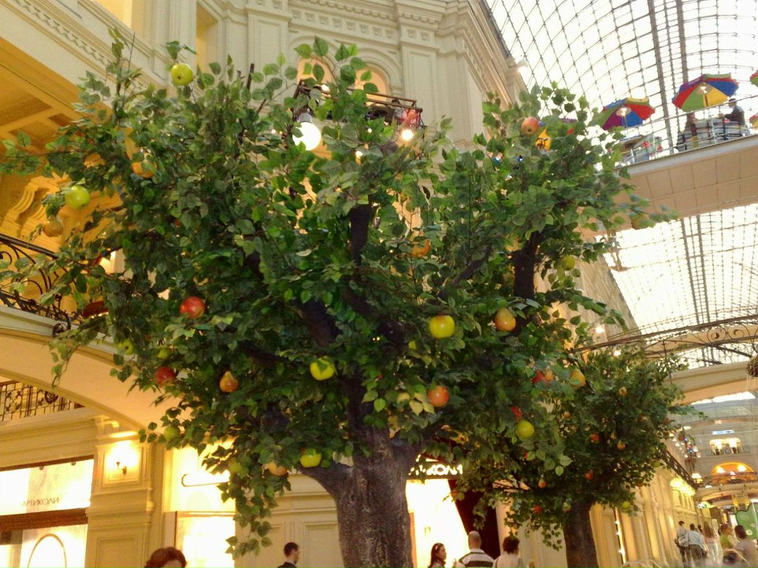 Ден Пименов | Москва