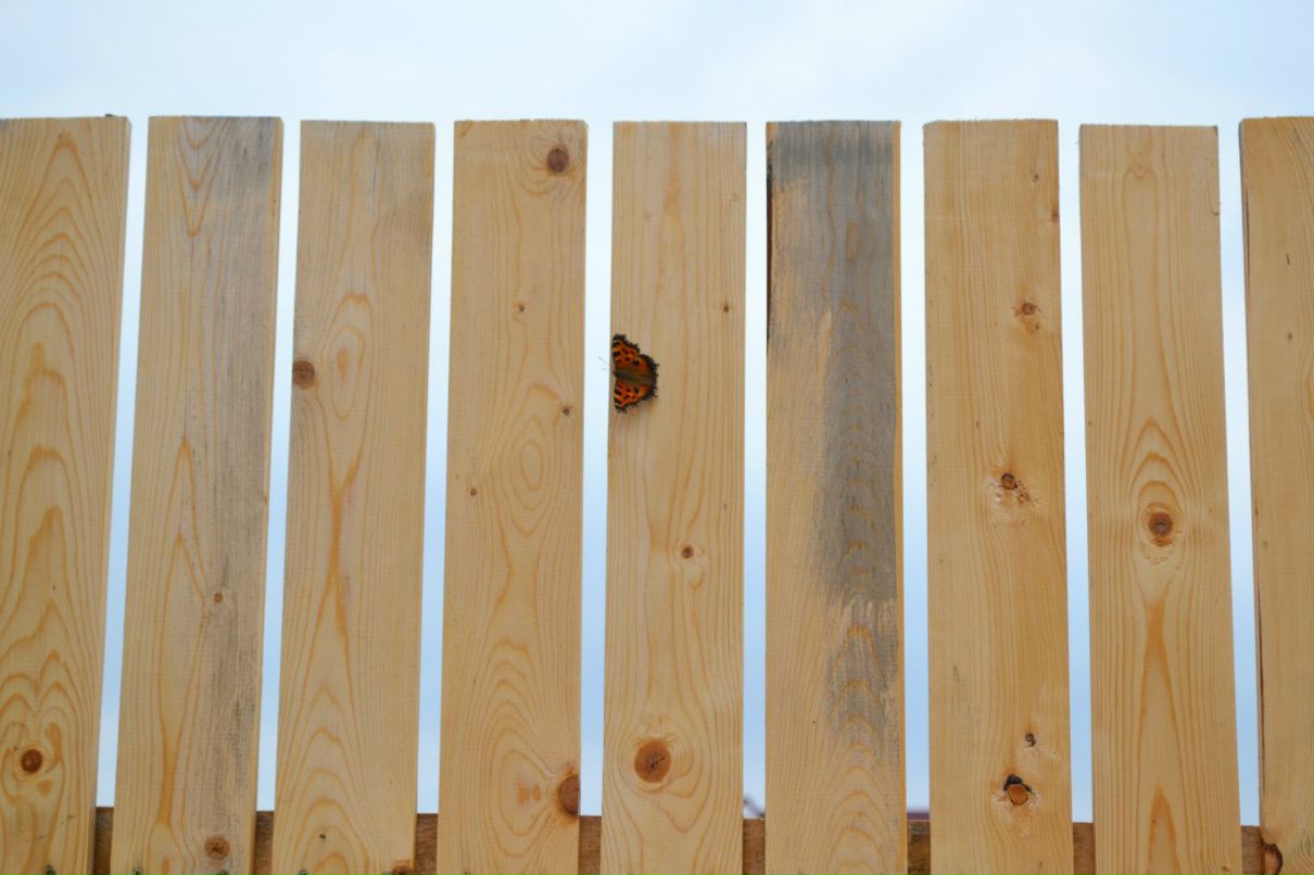 Евгений Поляков | Москва