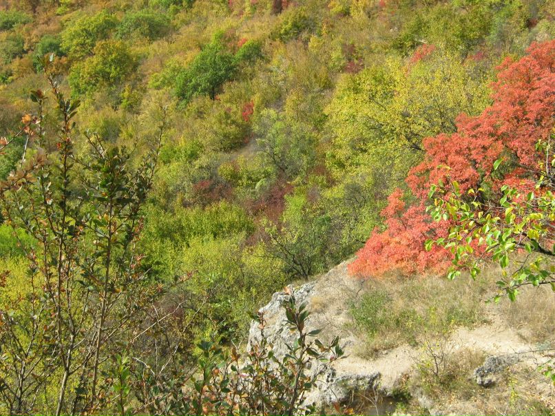 Наталья Козлова | Новороссийск