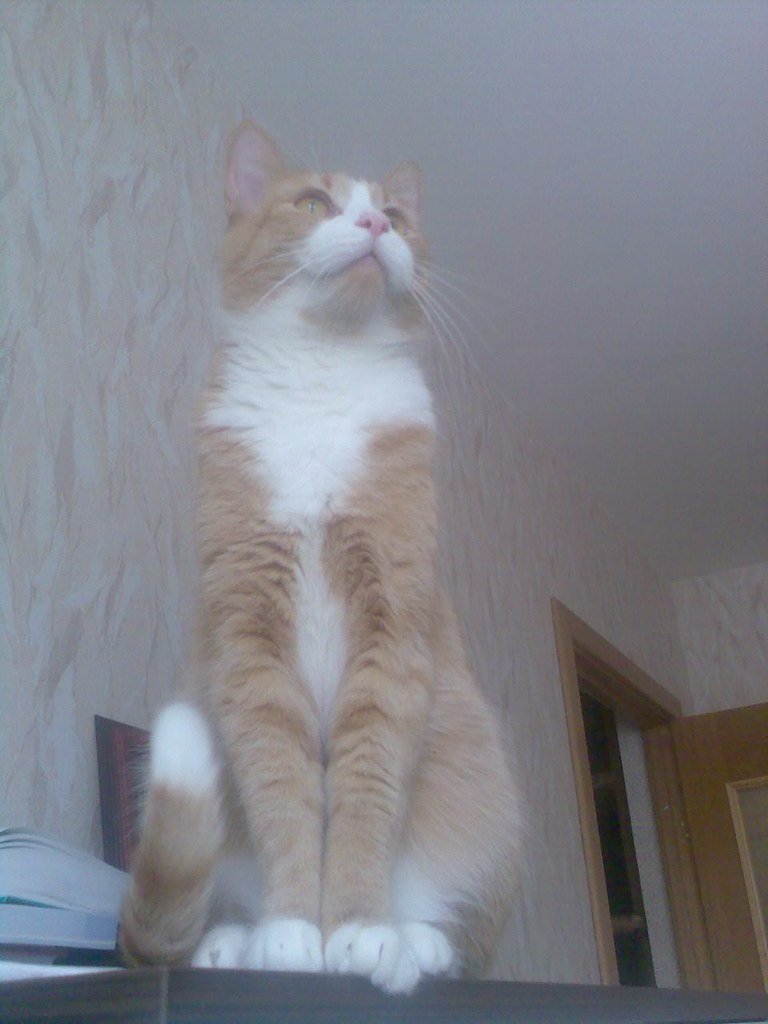 Александр Кравченко | Санкт-Петербург