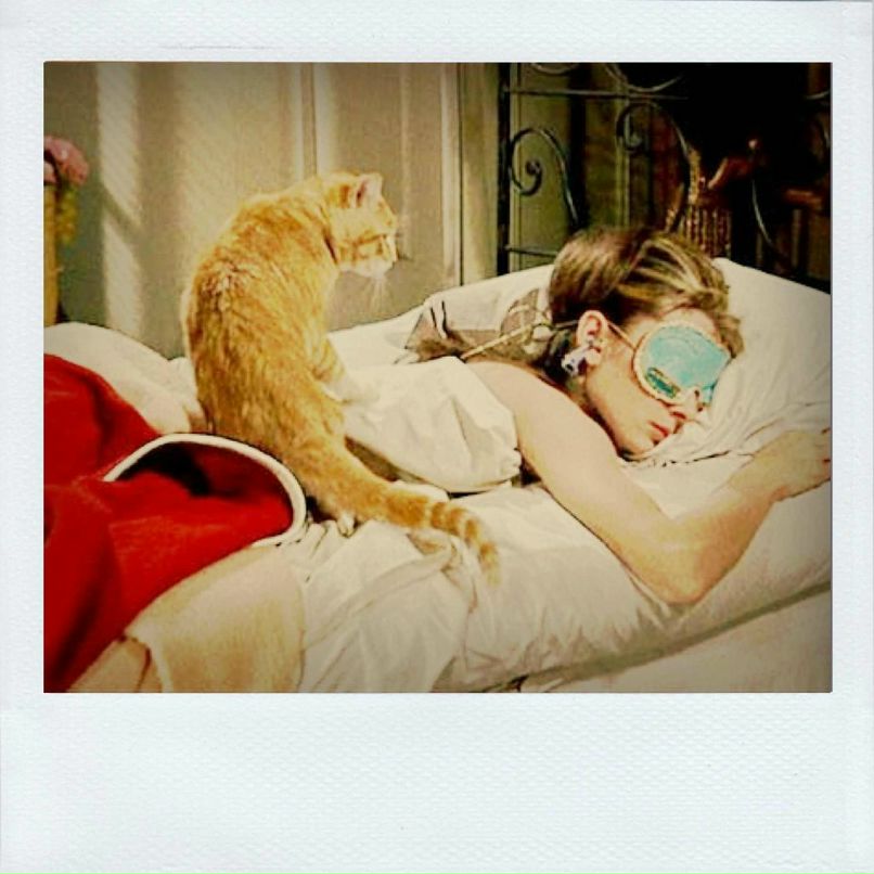 Алёна Сергеева | Москва