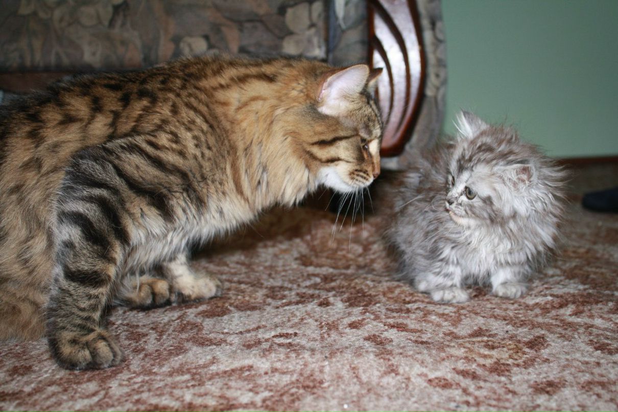 Анна Закирова | Казань