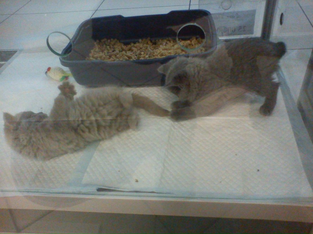 Иван Мартынюк Владимирович | Мегион