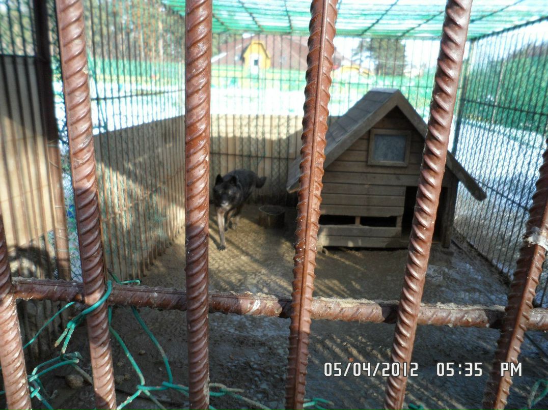 Алекс Бондарь | Санкт-Петербург