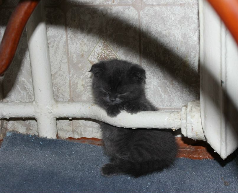 Олеся Булгакова | Сосногорск