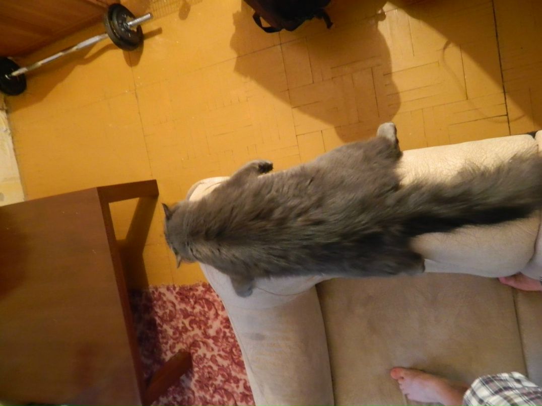 Евгений Мельниченко W | Челябинск