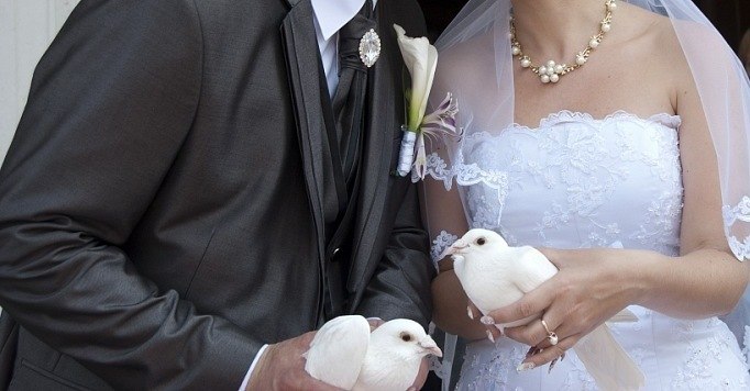 Таня Дублян | Волгоград