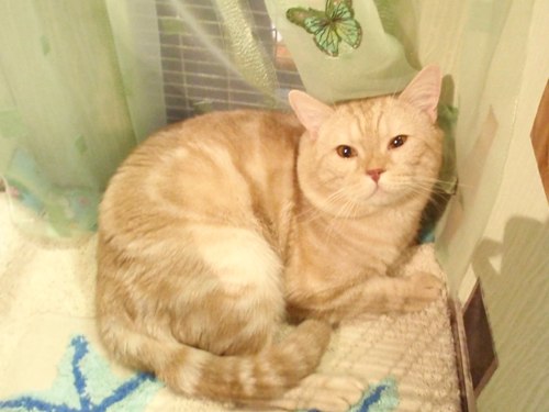 Александр Савченко | Минск