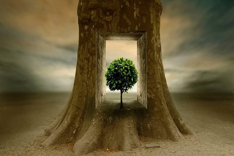 Саша Берегуляк | 