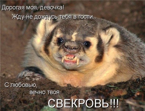 Михаил Беров | Санкт-Петербург