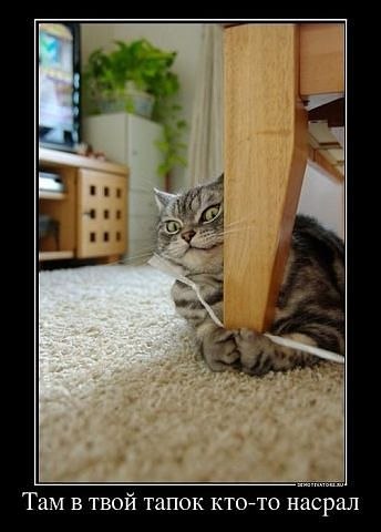 Алёна Замышляева | Луна