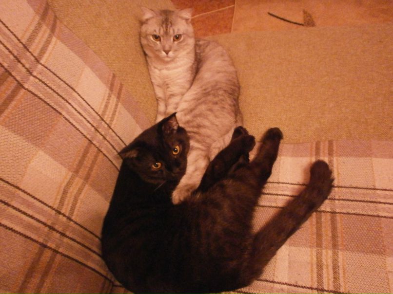 Ксения Ахметова | Тольятти