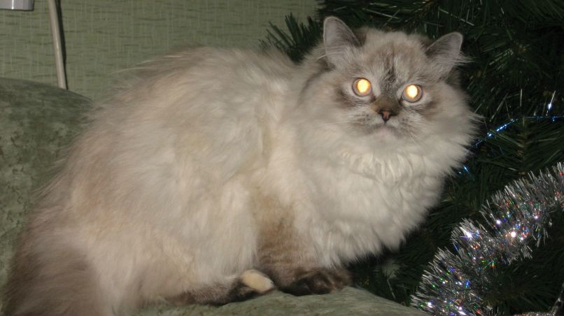 Кирилл Коробко | Кривой Рог