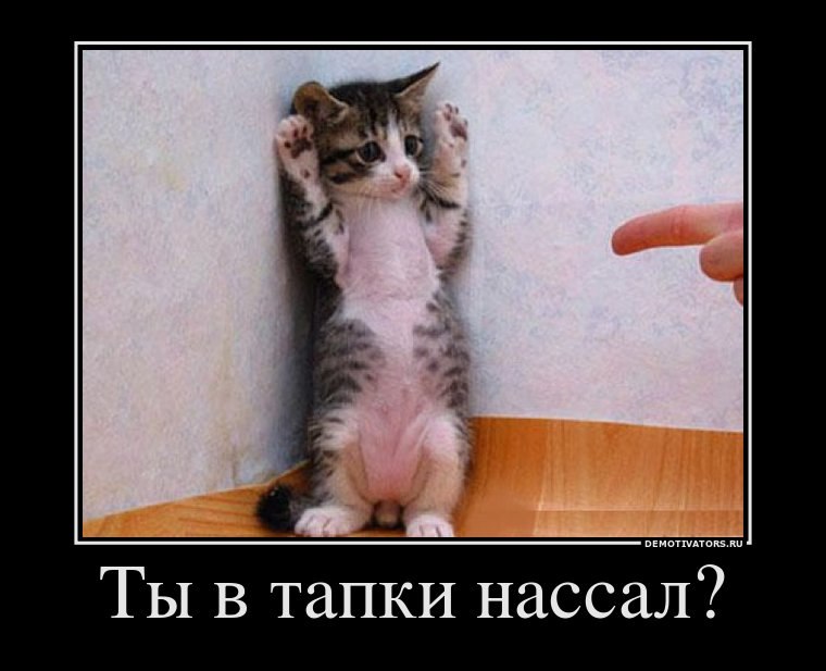 Ирэн Ирэн | Москва