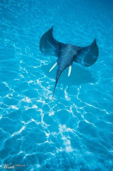 Мария Радецкая | Киев