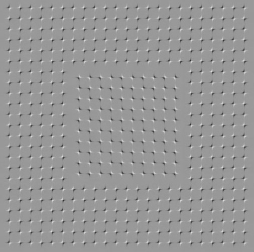 Роман Солдатенко | Киев