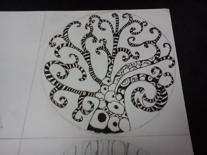 Александра Бирюкова | Новосибирск