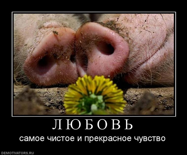 Yuliya Zibka | Запорожье