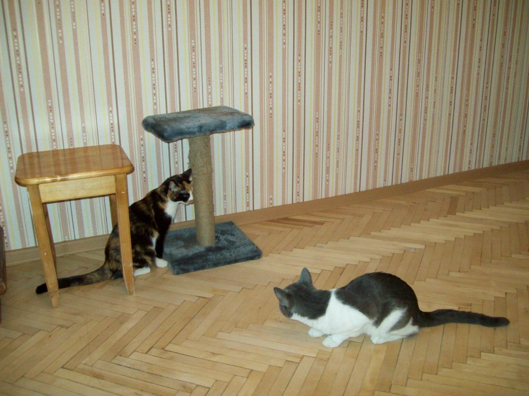 Галина Столярова Петровна | Санкт-Петербург