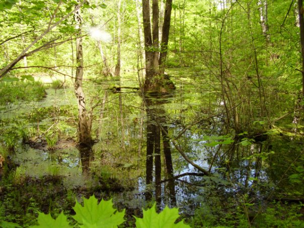 №19, Александр Никифоров, 31 год, Чебоксары №19, Александр Никифоров, 31 год, Чебоксары