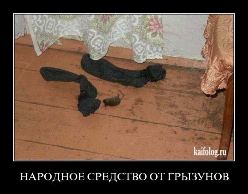 №111, Антон Меньшенин, 40 лет, Новая Каховка №111, Антон Меньшенин, 40 лет, Новая Каховка