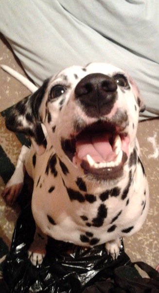 №151, Юлия Исхакова, Сургут №151, Юлия Исхакова, Сургут