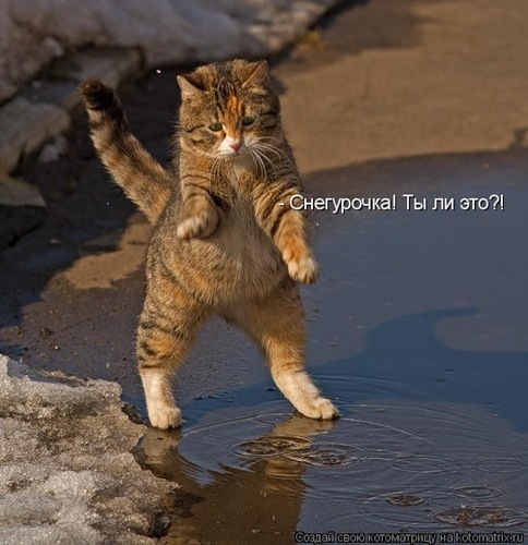 №6, Евгения Петрова №6, Евгения Петрова