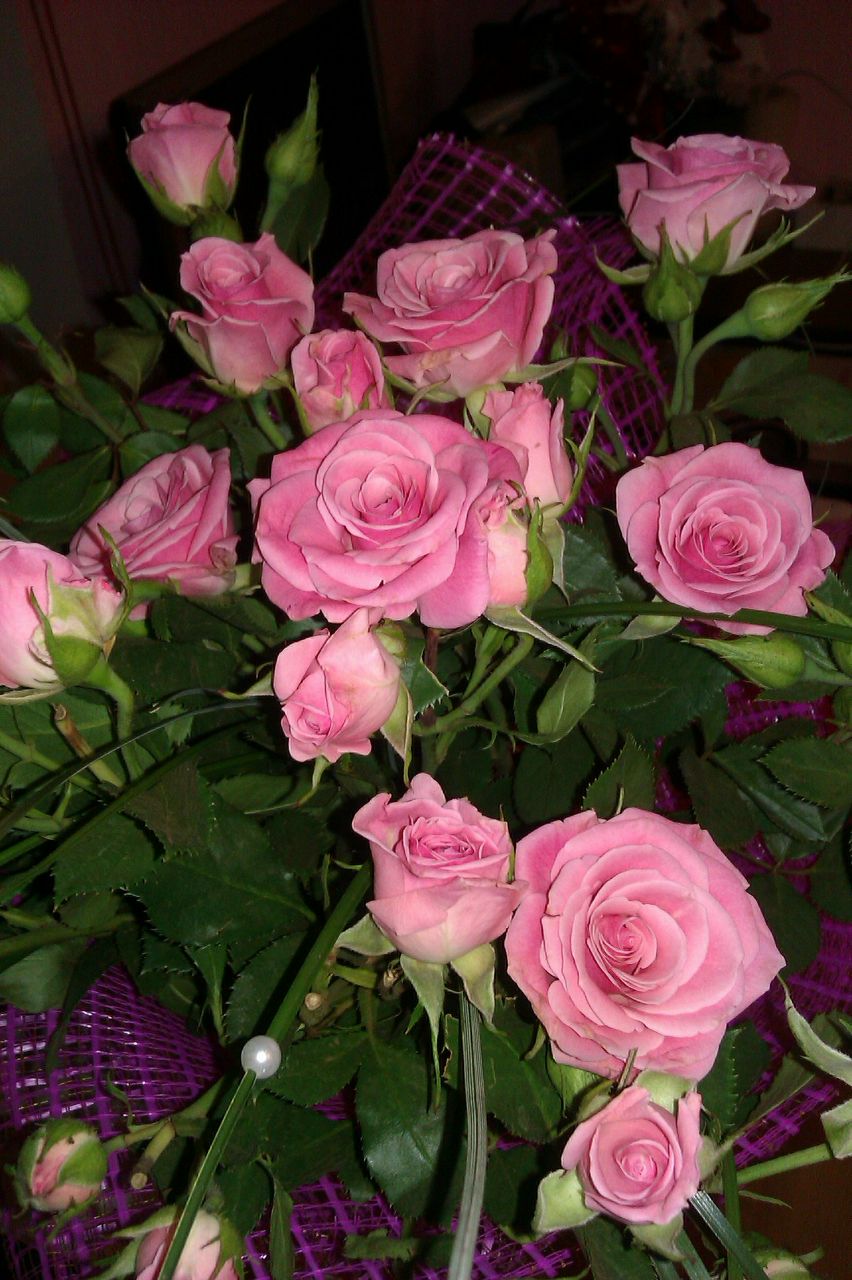 Ксения Ястребова | Нижний Новгород