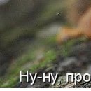 Ирка Чумак | Мозырь