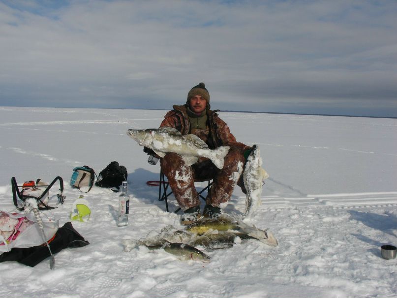Вячеслав Соколов | Вологда