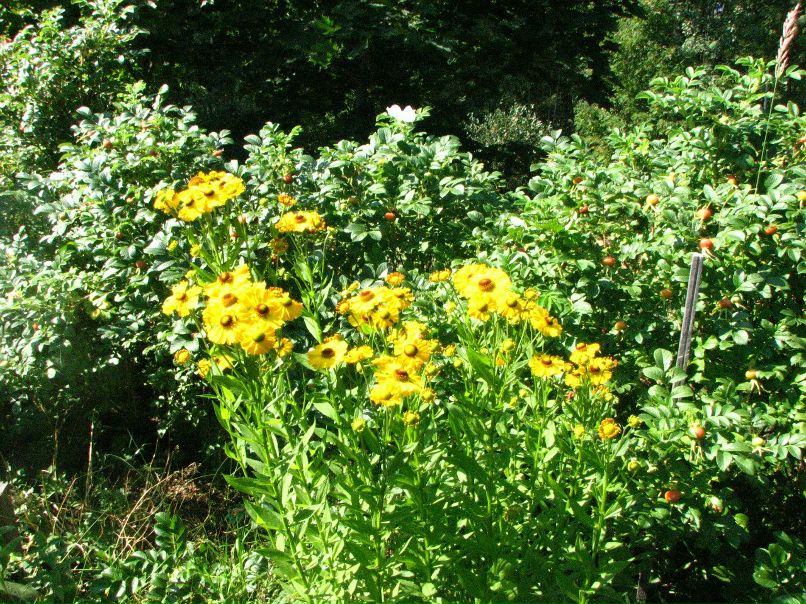 Николай Новиков | Санкт-Петербург