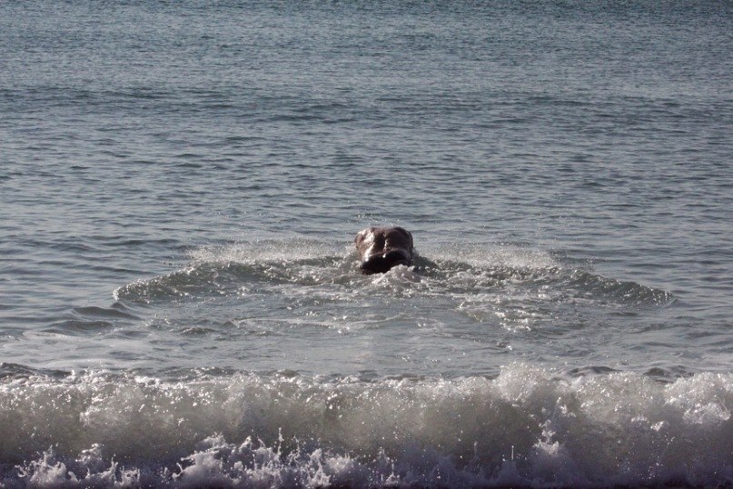 Андрей Катков | Енакиево