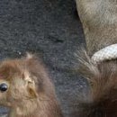 №64, Вітя Глушук, Луцк №64, Вітя Глушук, Луцк