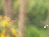 Татьяна Зулитова | Нижний Новгород