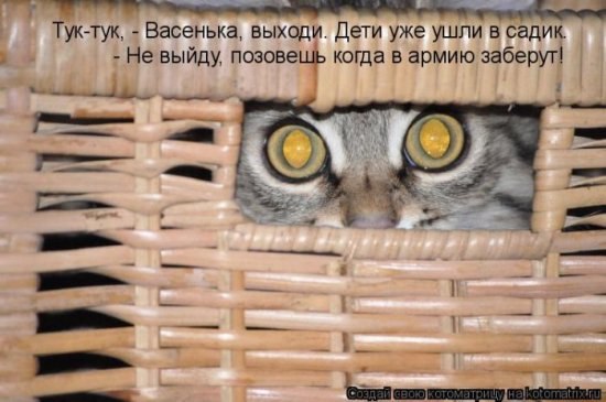 Алексей Лужнов | Миасс