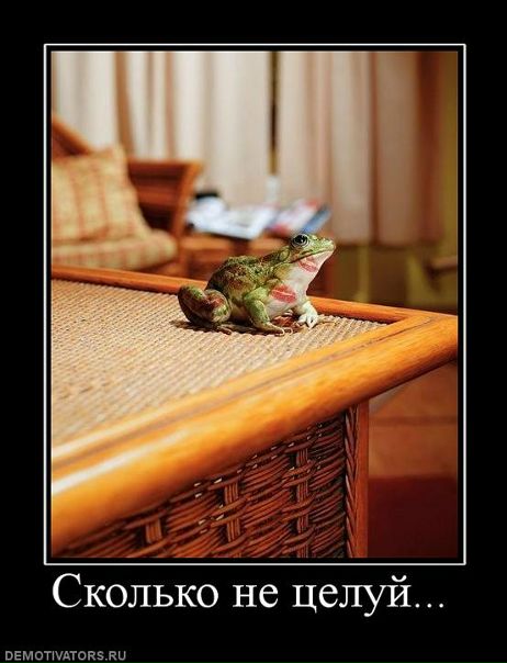 №80, Наталия Чиркова, Киев №80, Наталия Чиркова, Киев