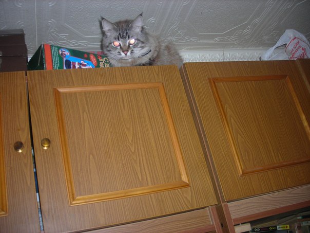 №126, Надежда Григорьева, 14.06.1954, Всеволожск №126, Надежда Григорьева, 14.06.1954, Всеволожск