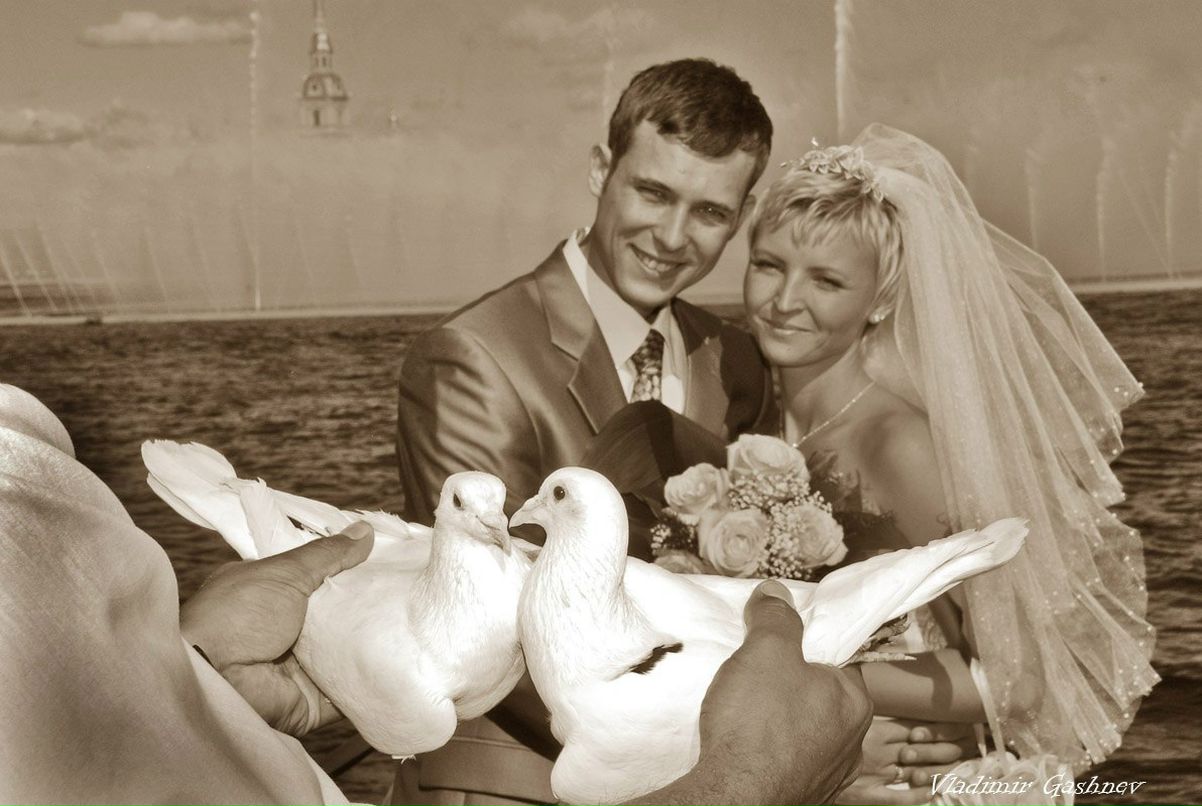 Владимир Гашнев | Санкт-Петербург