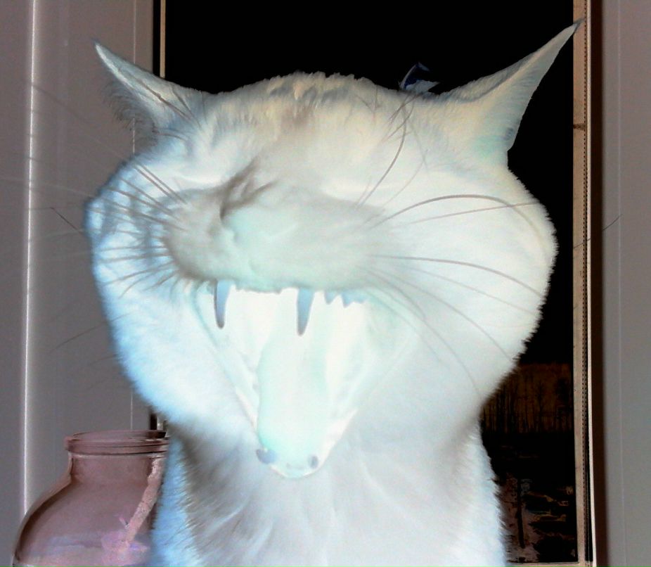 Джахар Дудаев | Махачкала