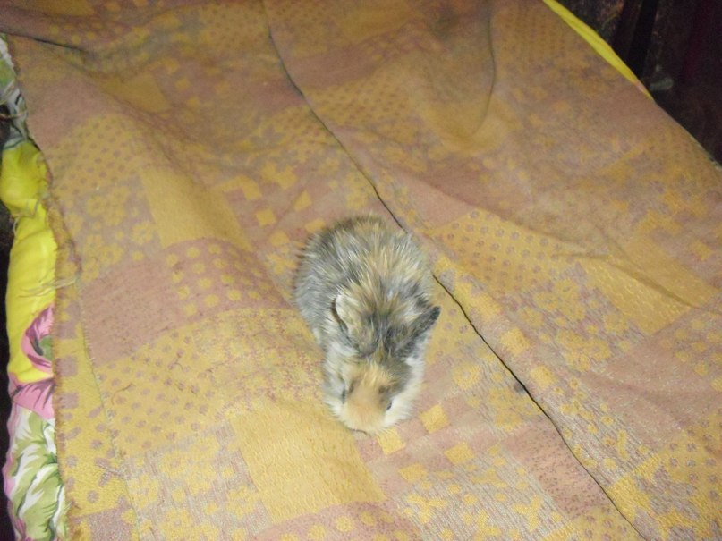 Дмитрий Ерохин | Волгоград