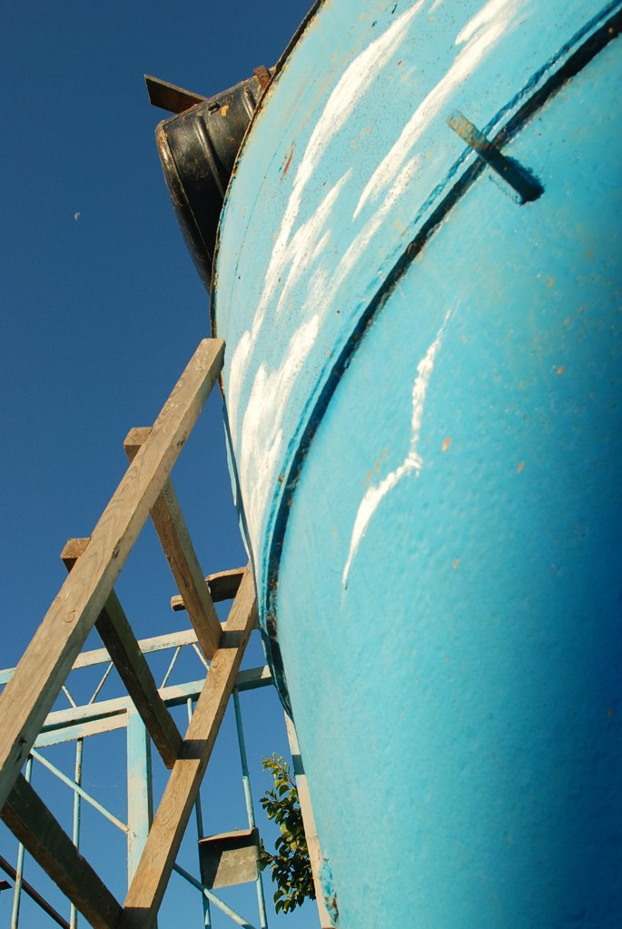 Zoe Zoe | Ковров