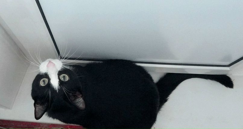 Наталья Кудрявцева | Сургут