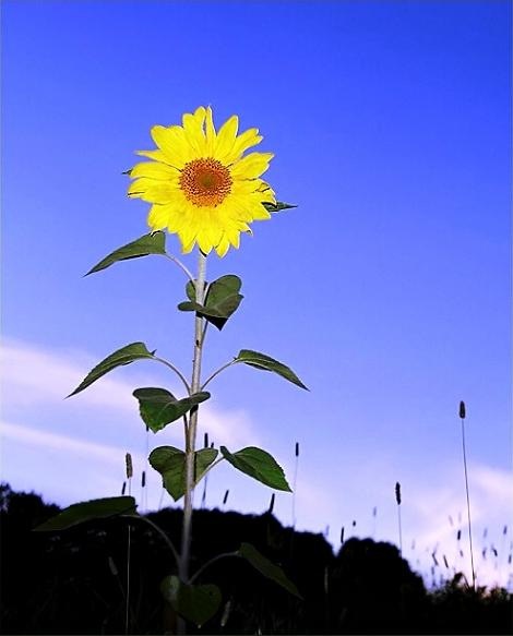 №50, Рома Праулов, 35 лет, Гродно №50, Рома Праулов, 35 лет, Гродно