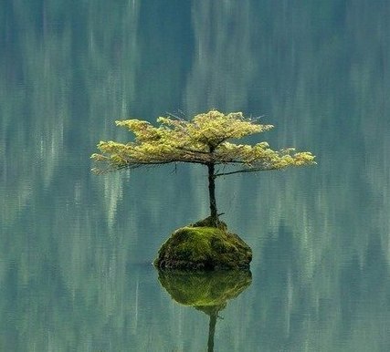 Диана Баст | Новосибирск