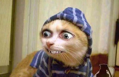 Дмитрий Полумисков | Санкт-Петербург