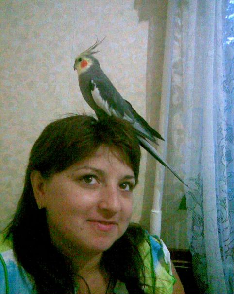 №2, Lлюдмила Атанасий, 46 лет, Запорожье №2, Lлюдмила Атанасий, 46 лет, Запорожье