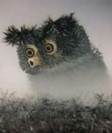 №137, Экспресс Поздравления, Москва №137, Экспресс Поздравления, Москва